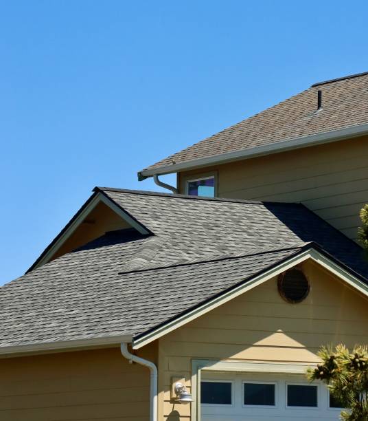 Best Roof Insulation Installation  in Melrose Park, IL